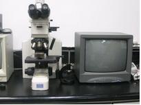 Microscope with screen support